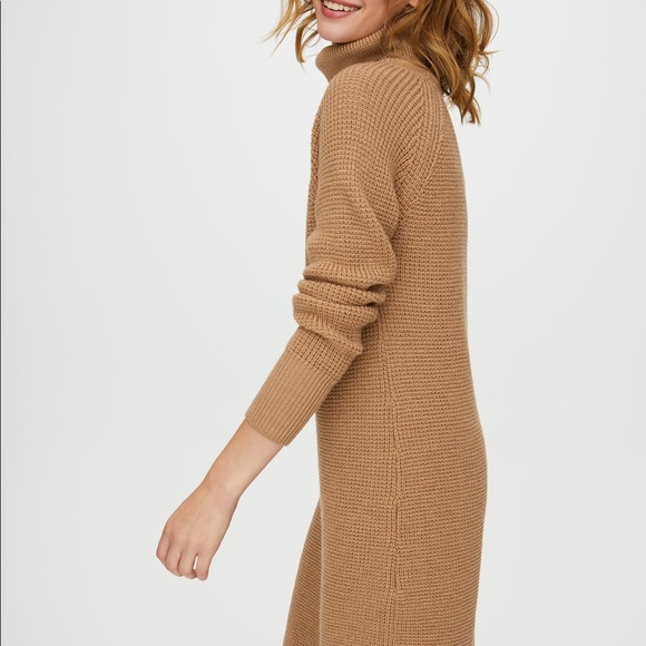 Aritzia Wilfred Bianca Sweater Dress - Picture 4 of 5